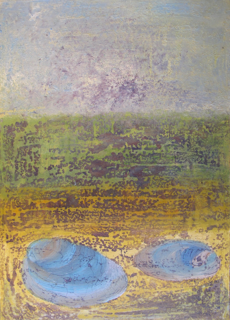 14,蓝鲍鱼壳 38x26 独幅版画 2013